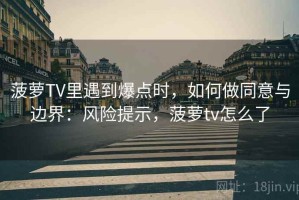 菠萝TV里遇到爆点时，如何做同意与边界：风险提示，菠萝tv怎么了