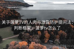 关于菠萝TV的人肉与泄露防护提问法：判断框架，菠萝tv怎么了