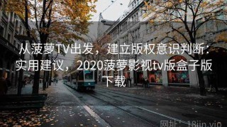 从菠萝TV出发，建立版权意识判断：实用建议，2020菠萝影视tv版盒子版下载