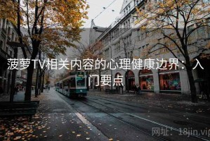 菠萝TV相关内容的心理健康边界：入门要点