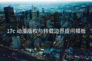 17c 动漫版权与转载边界提问模板