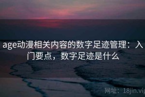 age动漫相关内容的数字足迹管理：入门要点，数字足迹是什么