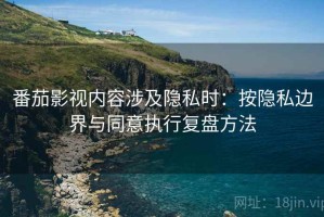 番茄影视内容涉及隐私时：按隐私边界与同意执行复盘方法
