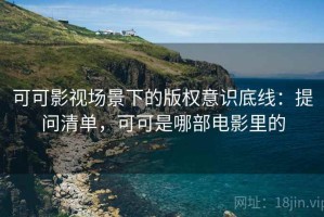 可可影视场景下的版权意识底线：提问清单，可可是哪部电影里的