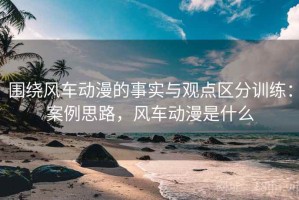 围绕风车动漫的事实与观点区分训练：案例思路，风车动漫是什么