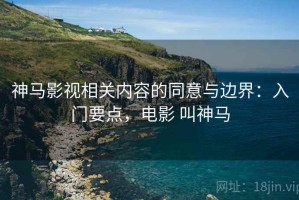 神马影视相关内容的同意与边界：入门要点，电影 叫神马