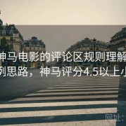围绕神马电影的评论区规则理解训练：案例思路，神马评分4.5以上小说