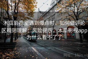 木瓜影视里遇到爆点时，如何做评论区规则理解：风险提示，木瓜影视app为什么看不了了