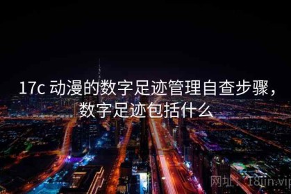 17c 动漫的数字足迹管理自查步骤，数字足迹包括什么