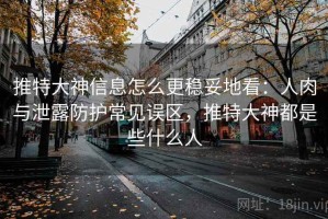推特大神信息怎么更稳妥地看：人肉与泄露防护常见误区，推特大神都是些什么人