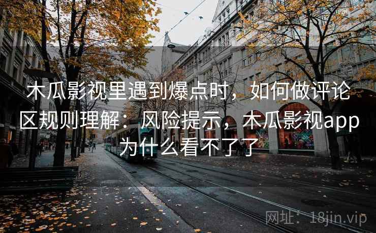 木瓜影视里遇到爆点时，如何做评论区规则理解：风险提示，木瓜影视app为什么看不了了