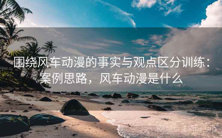 围绕风车动漫的事实与观点区分训练：案例思路，风车动漫是什么