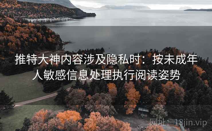 推特大神内容涉及隐私时：按未成年人敏感信息处理执行阅读姿势