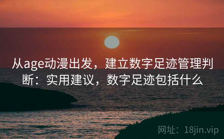 从age动漫出发，建立数字足迹管理判断：实用建议，数字足迹包括什么