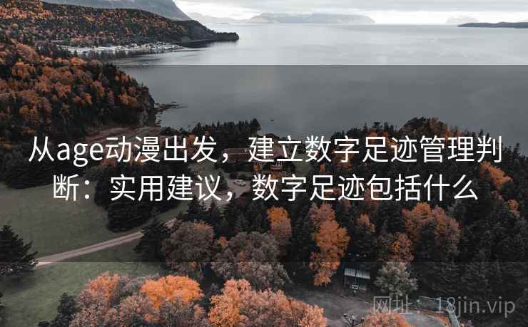 从age动漫出发，建立数字足迹管理判断：实用建议，数字足迹包括什么